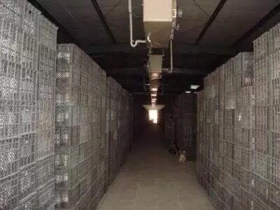 西安乐竞online(中国)